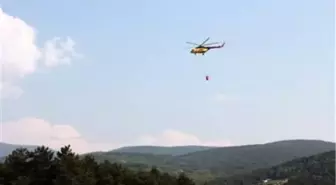 Bursa'daki Orman Yangını Söndürüldü