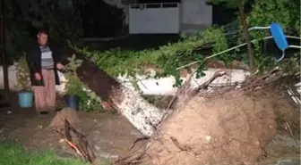 Fırtına Denizli'de Büyük Hasara Yol Açtı