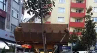 Esenler Metro Girişine Peyzaj Düzenlemesi