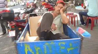 Sıcak ve Yorgunluk Ekmek Teknesine Yatırdı