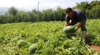 Burası Adana Değil Trabzon