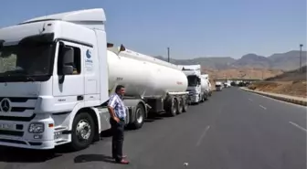 Kuzey Irak Petrolü Türkiye'de