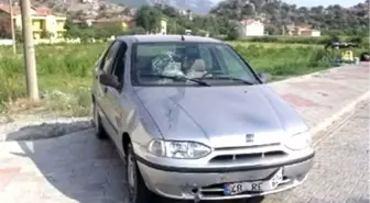 Ginger ile Otomobil Çarpıştı: 1 Yaralı