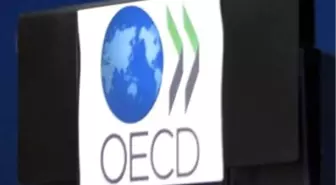 OECD'nin 'Türkiye Ekonomik Araştırmalar' Raporu