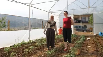 Tufanbeyli'de Tarımda Seracılık Dönemi