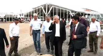 Ulaştırma, Denizcilik ve Haberleşme Bakanlığı Müsteşarı Kars'ta İncelemelerde Bulundu