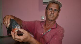 Sazan Beklerken Pirana Yakaladı