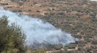 Menemen'de 100 Hektar Makilik Alan Yandı