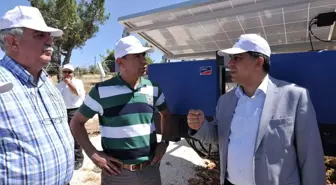 Dülük Ormanları'ndaki Güneş Panelleri Dikkat Çekiyor