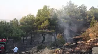 Keşan'da 4 Ayrı Noktada Çıkan Orman Yangını Büyümeden Söndürüldü