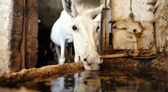 Mardin'de Temizlik İşçilerinin Çalışma Saatleri Değişti