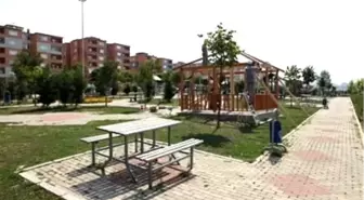 Çayırova'da Parklara Kamelya Kuruluyor