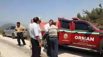 Samandağ'da Orman Yangını 3 Noktada Sürüyor (3)