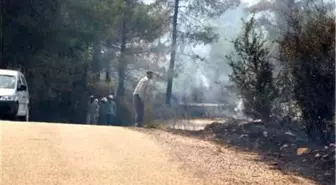 Burdur'da Orman Yangını Kontrol Altında