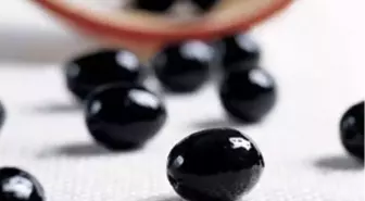 Bursa Ticaret Borsası