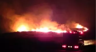 Foça'da Otluk ve Makilik Alanda Yangın