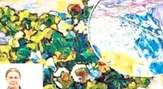 Saç Teliyle Gelen 50 Milyon Euro!