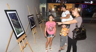 Doğanın Estetiği Optimum'da