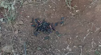 AK Partili Başkanın Evine Saldırı