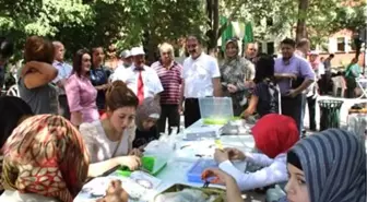 Yaz Kursları Sokağa Taştı