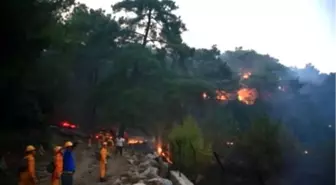 Datça'da 1 Hektarlık Ormanlık Alan Zarar Gördü