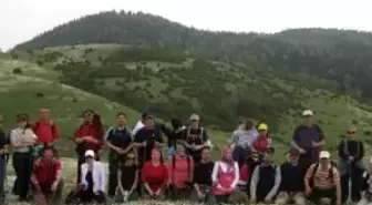 GEDOSK, 16. Yaşında