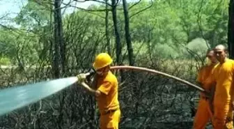 Malkara'da Orman Yangını