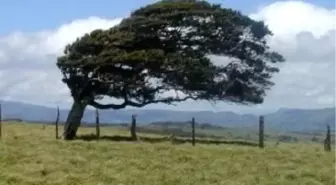 Bursa'ya Şiddetli Poyraz Uyarısı