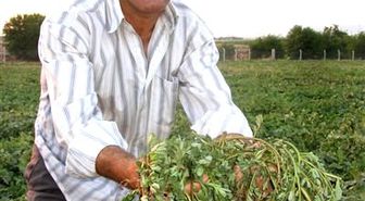 Pirpirim, Arabanlıların Sofralarının Vazgeçilmezi Oldu