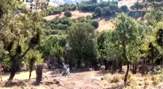 Bu Bal İçin 1 Yıl Bekliyorlar