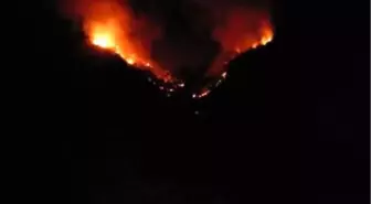 Milas'ta Orman Yangını