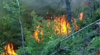 Orman Yangını Yayladağı'na Sıçradı