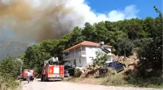 Gülnar'daki Orman Yangını