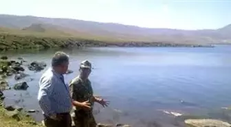 Ağrı Valisi Tekinarslan, PKK'nın Yaktığı Şantiyeyi Gezdi