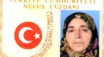 2 Eşek Arısının Soktuğu Kadın Öldü