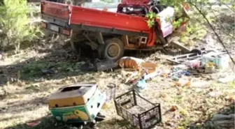 Çam Ağacına Çarpan Kamyonette Öldü