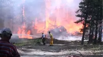 Kütahya'da Orman Yangını