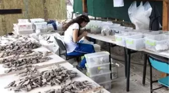 7500 Yıllık Tarih Arkeopark ile Toplumla Buluşacak