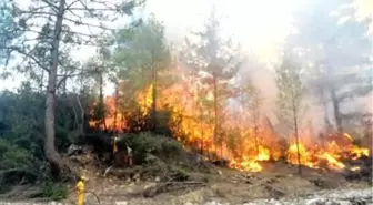 Serik'teki Orman Yangını Yerleşim Bölgelerini Tehdit Ediyor (2)