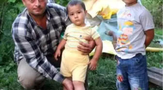 Sivrisinekler Hastanelik Etti