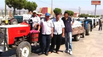 Sultani Üzüm Üreticileri Kuru Üzüme Yöneldi