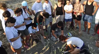 Deniz Kaplumbağalarının Yeni Mekanı Hazır