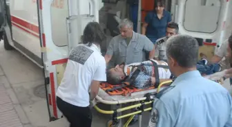 Köpeğe Çarpmamak İçin Elektrik Diğerine Çarptı