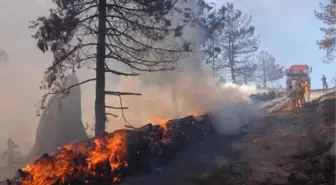 Uludağ'da 1 Hektarlık Orman Alanı Yandı