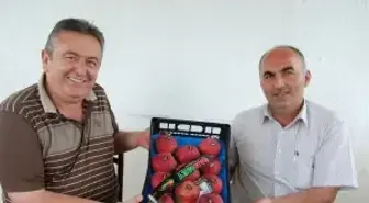 Meyvede Sıkıntı Pazarlamada