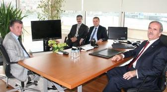 Yunuslar Haliç'te Fotoğraflandı