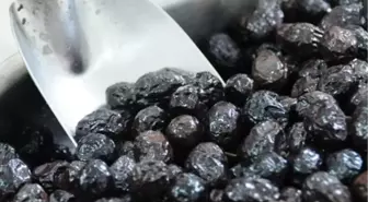 Bursa Ticaret Borsası