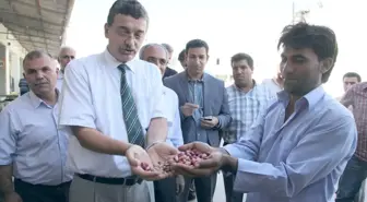 Vali Güvenç, Birecik'te İncelemelerde Bulundu