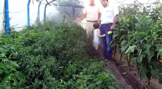 İlçe Tarım Müdürü Doğan'dan Çiftçi Tuncer'e Teşekkür