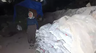 Mezitli Sydv Kömür Dağıtımına Başladı